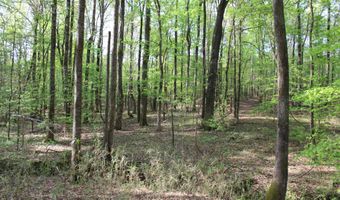 Ruffner Road 00, Barnesville, GA 30204