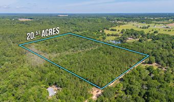 20 Acres Canyon Trl, Baker, FL 32531