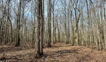 Putnam Road, Belzoni, MS 39038