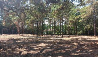 16253 Tolbert Rd, Bay Minette, AL 36507