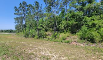 Tbd US-231, Alford, FL 32420
