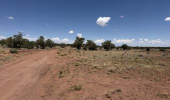 20 N 9160, Concho, AZ 85924