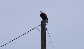 29951 Oregon Pnes, Beatty, OR 97621