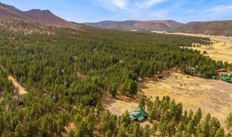 7 A County Road N2312, Alpine, AZ 85920