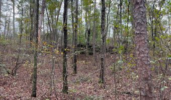 141 144 COUNTY RD 219, Arley, AL 35541