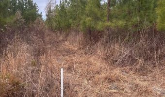 Qbf 12 Nurnberg Dr Road Qbf 12, Batesburg Leesville, SC 29070