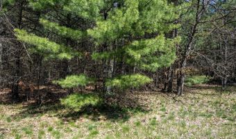 S Badger Lane lot 39, Arkdale, WI 54613