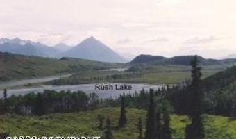 L2 Purinton Creek Trail, Chickaloon, AK 99674
