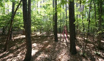 TBA BETTYS BRANCH RD X, Arvonia, VA 23004