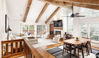901 W Francis St, Aspen, CO 81611