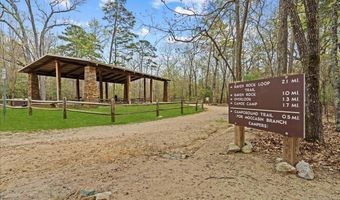 798 Old Station Pointe, Angier, NC 27501