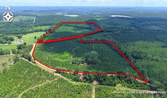 County Road 53, Banks, AL 36005