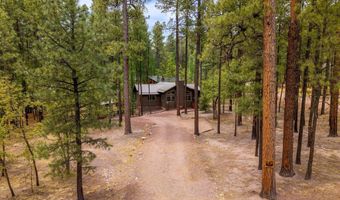 2 County Road 2069, Alpine, AZ 85920