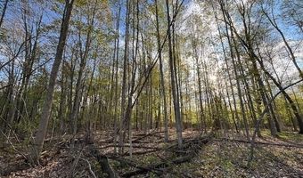 Fox Ridge 1-A Lane, Allenton, MI 48002