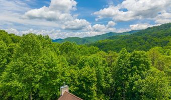 1044 Shell Stand Rd, Almond, NC 28702