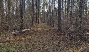 U.S. Highway 51, Bogue Chitto, MS 39629