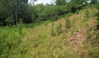 Hall Hollow Road, Austinville, VA 24312