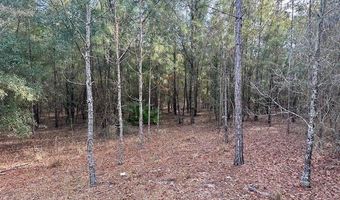 85 Th St, Bell, FL 32619