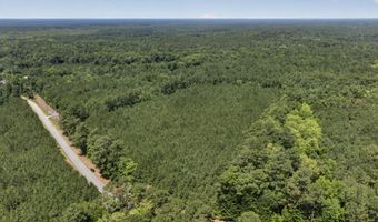 82 Acres Point Caswell Rd, Atkinson, NC 28421