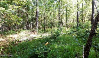 330 County Road 245, Abbeville, MS 38601