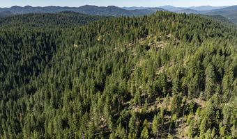 Hungry Ridge, Ashland, OR 97520
