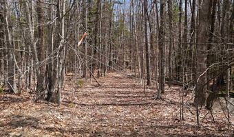 Puckerbrush Road, Campton, NH 03223