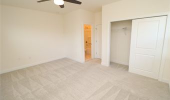 944 Baldwin Ridge Rd, Apex, NC 27523