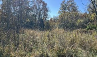 County Road P-309, Alton, MO 65606