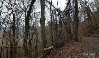 Jacks Knob Road, Barnardsville, NC 28709