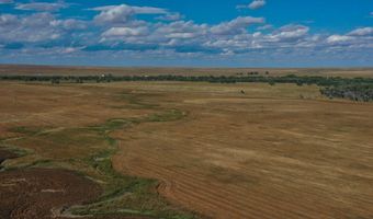 TBD County Road 170, Agate, CO 80101