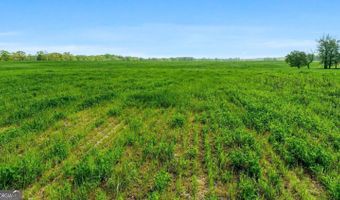377 Acres Brent, Barnesville, GA 30204