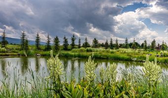 1905 N BEAVER Dr, Alta, WY 83414