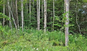Shaver Hollow, Andes, NY 13731
