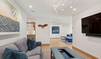 447 E Cooper Ave 1, Aspen, CO 81611