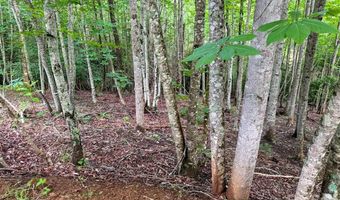 724 Streamside Dr, Arden, NC 28704