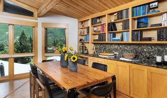 809 S Aspen St 8, Aspen, CO 81611