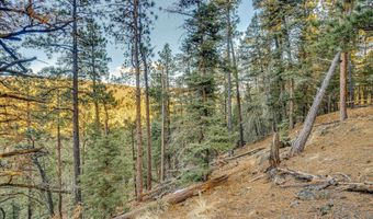 66 Mora Ranch Rd, Angel Fire, NM 87710