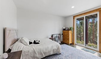 121 Shekel Ln, Breckenridge, CO 80424