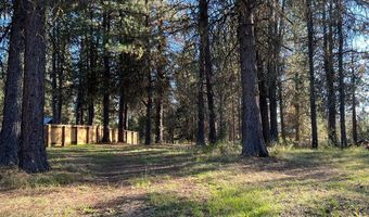 1909 Gold Dust Rd 60, Cascade, ID 83611