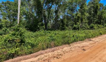 Lot # 1 - 6.2 Ac Perry Horton, Adrian, GA 31002
