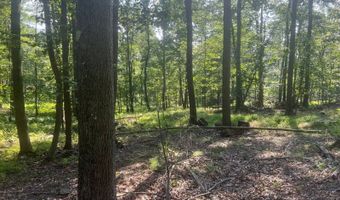 242 Brush Mountain Rd, Altoona, PA 16601