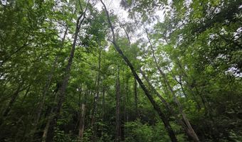 1542 Wellman Dr, Brookhaven, MS 39601