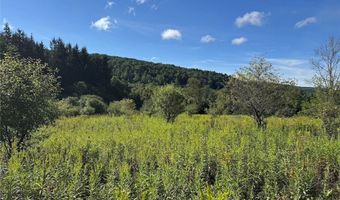 E Valley Road, Alfred, NY 14806