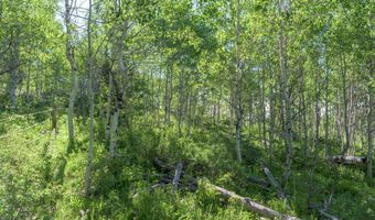 CARROLL Lane, Daniel, WY 83115