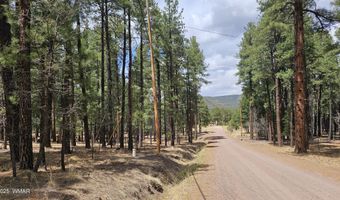 15 County Road 2065, Alpine, AZ 85920