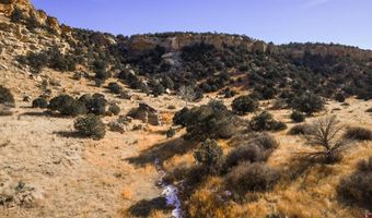 000 County Road 40.2 Poitry Canyon Ranch, Branson, CO 81027