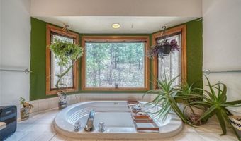 33 Grouse Ln, Bailey, CO 80421