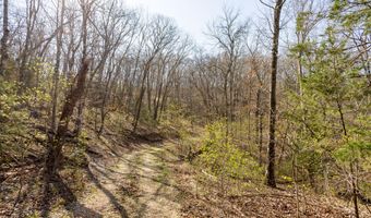 16032 Farm Road 1212, Aurora, MO 65605