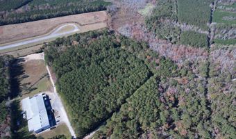 793 Puncheon Creek Dr, Andrews, SC 29510