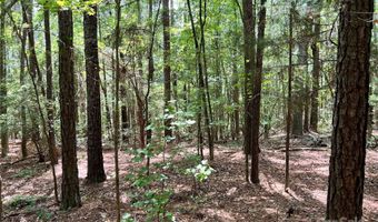 8 SC-215 S, Blair, SC 29015